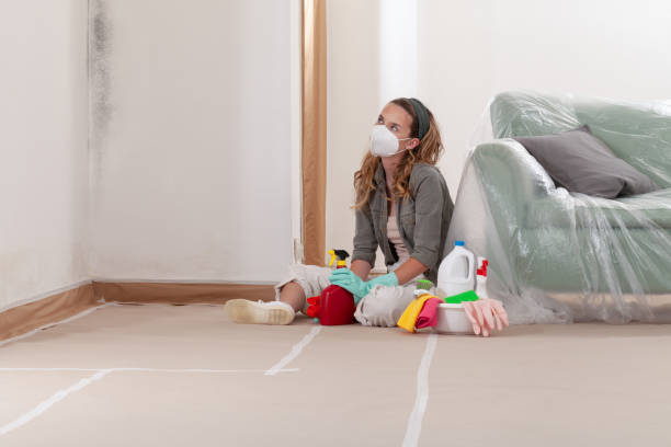 Reliable Mold Remediation contractor in Jeffersonton, VA by WQB Mold Removal